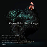 Renaissance - Oil Painting Actions