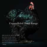 Renaissance - Oil Painting Actions